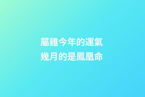 屬雞今年的運氣 幾月的是鳳凰命